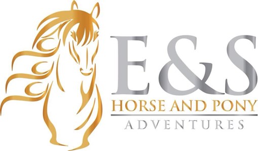E&S Horse and Pony